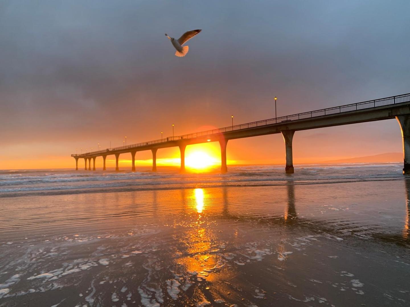 Serenity By The Sea: Coastal Escape1 Bed 1 Bath クライストチャーチ エクステリア 写真